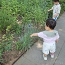 신차오 구로항동점 | 구로 항동 푸른수목원 도서관 아이랑 힐링했던 주말