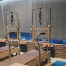 데일리 요가 | [탄방동 필라테스] 바레 수업도 있는 '데일리요가&amp;필라테스' 필라테스 수강 후기