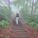 아라메길 (도비마루길) | 서해랑길 서산시 64-2(지선2코스)