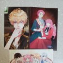 레이디폼 이미지