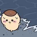 야후서적 | 사루와 메루카리 구매대행 후기 / 모찌코로링