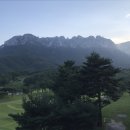홍익플로우