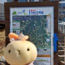 원주굽이길 원1코스 100고개길 이미지