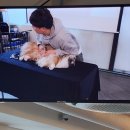 비전동물병원 | 동물병원 취업 자격증 취득 후기 자세히 들려드릴게요!