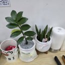 실용헤어커트 | 노은역 근처 지족동 미용실 톤즈헤어, 남자 커트 후기