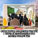 대전청사다솜어린이집 | 대전보건대학교 유아교육학과 현장견학｜대전청사다솜어린이집에서 만난 놀이중심 유아교육 현장!