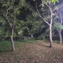 강기수 헤어