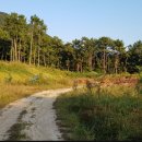 서울부동산행정사 사무소 이미지