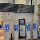 대영힐스CC | 대영힐스CC 11월 후기｜코스 상태·그늘집 떡볶이까지 솔직 리뷰