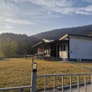 달고나카페 | 금산 카페 투썸플레이스 충남금산점, 카페라떼와 달고나라떼, 디저트 티라미수 먹고 온 일상 후기