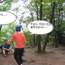 두꺼비네 이미지