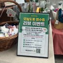 오늘도꽃 - 달성군 대실역남로 104 | 가성비 좋고 예쁜 꽃다발 24시 무인 운영 운정꽃집 오늘도 꽃💐