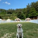 멍글멍글 이미지