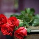 성내천공원 이미지