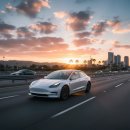 성우골프랜드 | 테슬라 모델3 하이랜드 가격 인하.. 보조금 100% 혜택 및 실구매가