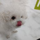 킹스키즈 개린이집 이미지