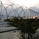 수원-0376 이미지