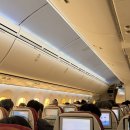 에어인디아 | 에어인디아 탑승 후기 | 델리 공항 환승 방법