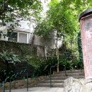 샤니안경 이미지