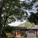 포레스트 구봉 이미지