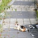 백의게스트하우스 이미지