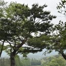 경주 코오롱가든골프장 4인 라운딩 코스 후기 및 그린피 잔디 정보
