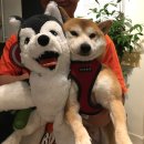 [유학미술 둔치 합격 소식] RIT(Rochester Institute of Technology 편입 합격(BFA) 소식 (+ Christine...
