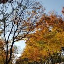 더원 행정사사무소 이미지