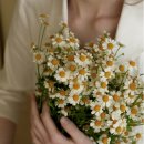 상쾌한숲속약국 이미지