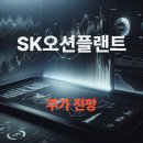 SK오션플랜트 주가전망: 해상풍력 관련주, 매각 이슈와 대만 대형 수주 분석 (2025년 5월)