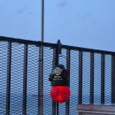 호텔더블루테라 이미지