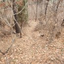 검암산(중간) 이미지