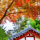 청계산수변공원 이미지