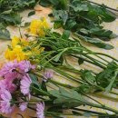 중흥2동 주민센터 | [공지] 청년도전지원사업 후기 (광주광역시 북구 청년센터 청춘이랑)