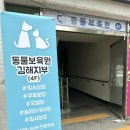 동물보육원 김해지부 이미지