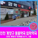 인천계양동물약국 네이버블로그