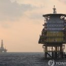 대왕약품 네이버블로그