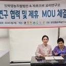 법인뜨락 이미지