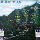 (주)한솔고속관광 Daum카페