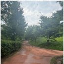 소리숲모텔 이미지