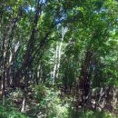 힐링산책코스 이미지