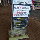 이정김밥 | [제주도 일주일살기 DAY4] 한라산 관음사 코스 탐방 후기 (등반시간, 백록담 정상), 숙성도 함덕