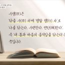 텅빈충만