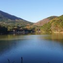 구포설렁탕 이미지