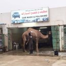 손 세차장 이미지