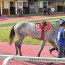 일선목장 이미지