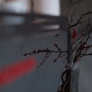 후엘고