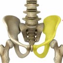 이(E)-메디칼 이미지