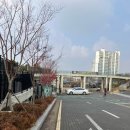 오산돼지국밥 | 오산 오색시장 부용식당 돼지국밥 후기｜현지인 추천, 주차 정보