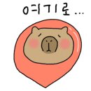 꼰대꽈배기 이미지